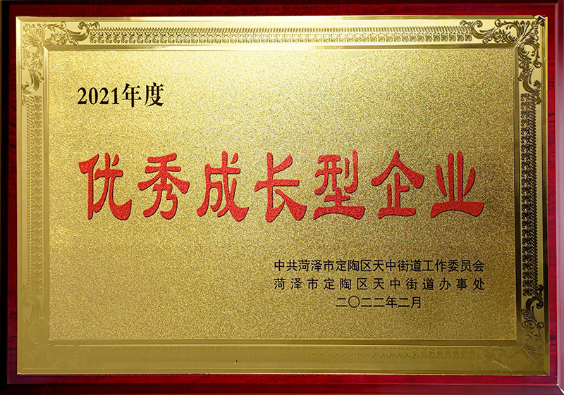 优秀成长型企业